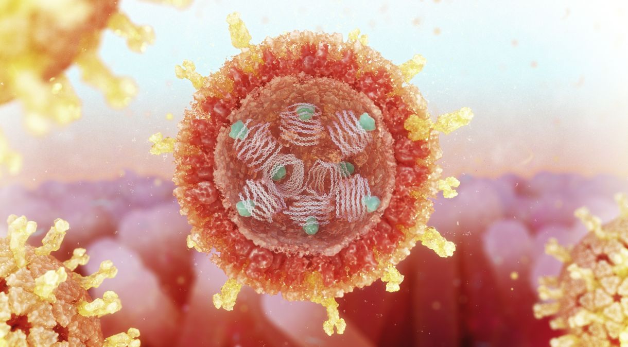Ilustração mostra estrutura do rotavírus