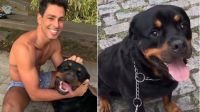 Polícia do Rio investiga suposto envenenamento de cães na Barra da Tijuca