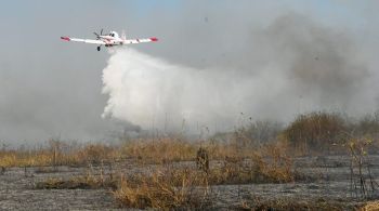 MP que permite que, em casos de calamidade pública ou emergências ambientais, combate a incêndios seja realizado por aeronaves e tripulação de outras nacionalidades