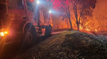 Rodrigo Agostinho participou de debate no Senado sobre as queimadas no país e defendeu aumento de pena para incêndios criminosos