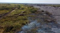 Planalto dispensa aporte fora do orçamento contra incêndios no Pantanal