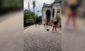 Influenciadora sofre “tentativa de assalto” inusitada em parque no Rio; assista