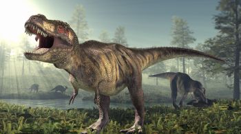O fóssil do tiranossauro que foi encontrado tinha cerca de 13 a 15 anos, tinha dois terços do tamanho adulto, 7,6 metros de comprimento, e 1.600 kg