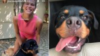 Mariana Goldfarb faz homenagem para cachorro do ex Cauã Reymond: "Arrasada"