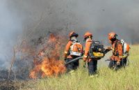 Após reunião de crise, ministras decidem visitar áreas atingidas por incêndios no Pantanal