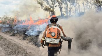 Ações do gabinete devem se somar à busca de responsabilização por eventuais ações criminosas associadas à crise de fogo em Pantanal