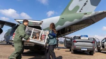 Medidas foram estabelecidas pelo Comando Conjunto da Operação Taquari 2 com a Secretaria do Meio Ambiente do Rio Grande do Sul nesta quinta-feira (6)