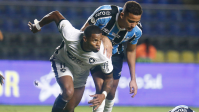 Botafogo derrota o Grêmio e assume liderança do Brasileirão