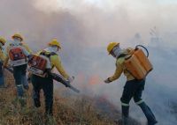 Julho de 2024 bate recorde histórico de focos de incêndio no Amazonas, aponta Inpe