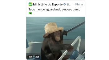 Ministério postou imagem de um macaco para representar a delegação brasileira que participava da abertura da Olimpíada