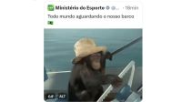 Olimpíada: Ministério do Esporte publica post racista com imagem de macaco em referência à delegação do Brasil