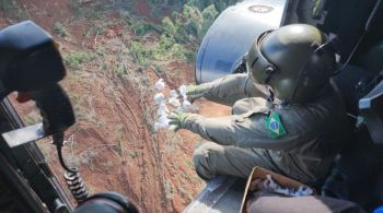 Ação entre o governo gaúcho, Exército Brasileiro, Ibama e a Polícia Rodoviária Federal (PRF) busca devolver a cobertura vegetal atingida pelas fortes chuvas