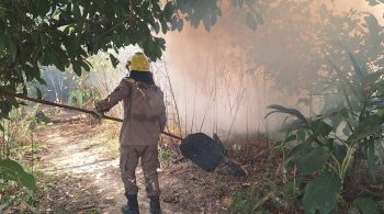 Também foi assinado decreto de Emergência Ambiental em 22 cidades da região Sul e Metropolitana de Manaus