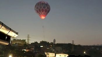 Prática está prevista no Código penal, além de ser crime ambiental