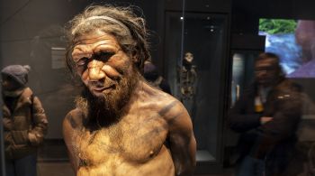 Estudo indica que os humanos modernos e os neandertais conviveram e procriaram entre si bem mais do que se sabia anteriormente