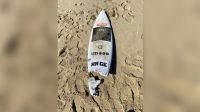 Perna decepada de surfista aparece em praia após ataque de tubarão na Austrália