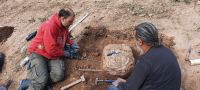 Fóssil de tatu gigante indica que Américas foram povoadas há mais de 25 mil anos