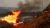 Defesa Civil de SP estende alerta de risco elevado para incêndios no estado