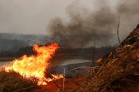 Sobe para três o número de presos por incêndios florestais no interior de SP