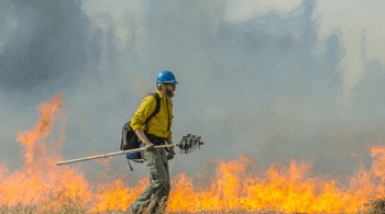 Norma prevê resgate do papel cultural do fogo e redução de danos causados por incêndios