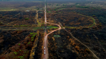 CEO da ONG alerta que a falta de enchentes desde 2023 agravou os impactos dos incêndios na região, afetando severamente a biodiversidade local