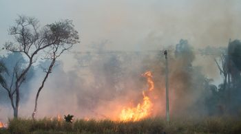 Em todo o Brasil, o prejuízo estimado é de R$ 14,7 bilhões; foram incendiados 2,8 milhões de hectares de propriedades rurais, projeta-se