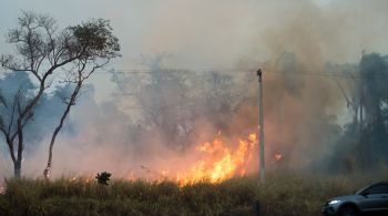 Ministra do Meio Ambiente destaca esforços no combate às queimadas em entrevista à CNN, ressaltando condições climáticas extremas e ações criminosas