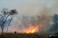 Defesa Civil de SP alerta para risco elevado de incêndios em quase todo estado