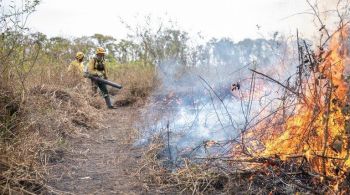 Casos ocorreram na Amazônia, no Pantanal e em São Paulo entre 2023 e 2024