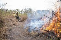 PF abre 32 inquéritos para investigar origem de incêndios florestais no país