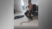 Vídeo: homem leva cobra a hospital após ser picado pelo animal no litoral de SP