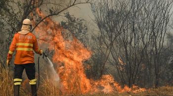 Nas contas do governo federal, a soma das áreas atingidas no Pantanal já ultrapassou 1,3 milhão de hectares e abrange dois estados