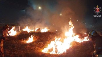 Bombeiros registraram 110 ocorrências no domingo, dia com mais registros