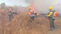 Mato Grosso do Sul tem 40% das cidades atingidas por incêndios