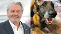 Família de Alain Delon se recusa a sacrificar cachorro após pedido do ator