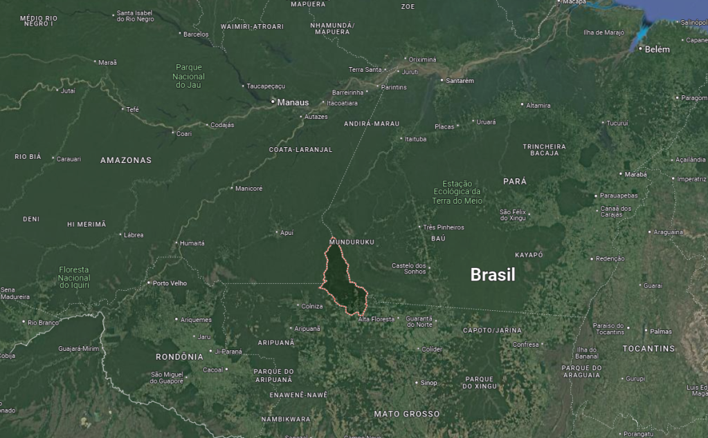 Local onde avião caiu fica na divisa entre Mato Grosso, Amazonas e Pará