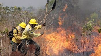 Auxiliares diretos do presidente desconfiam que os incêndios florestais tenham mandantes