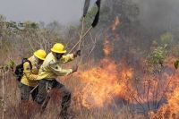 Pará decreta estado de emergência ambiental por incêndios florestais