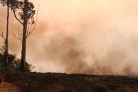 Incêndios em São Paulo podem prejudicar distribuição de energia no estado