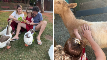 Lua Di Felice, 1, teve contato com patos, cabra, coelhos e mais