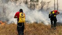 "Foco de calor agora está no sul da Amazônia", diz presidente do Ibama