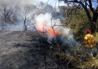 Com tempo seco, SP emite alerta para incêndios florestais; veja regiões de risco