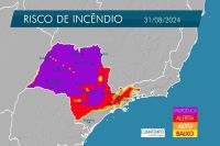 Incêndios em SP: sete cidades estão com focos ativos, diz Defesa Civil