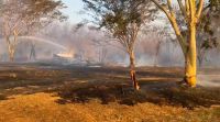 Após sete cidades registrarem focos no sábado, risco de emergência para incêndios é elevado em SP neste domingo