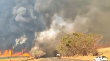 Cerca de 30 cidades se encontram em alerta máximo para grandes queimadas