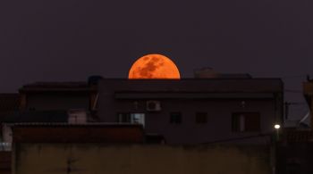 Superlua azul surpreendeu quem observava o céu na noite de segunda-feira (19) ao nascer com cor alaranjada