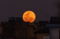 Terra ganhará uma "segunda lua" neste mês; entenda