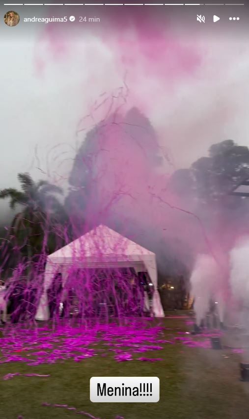 Momento da revelação do sexo do bebê de Zezé di Camargo e Graciele Lacerda