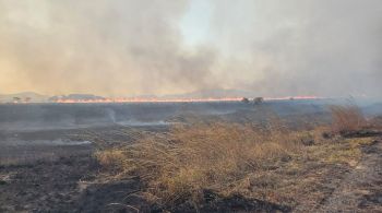 Equipes estão mobilizadas desde o dia 5 de setembro para combater o fogo; ainda não se sabe o motivo da origem do incêndio 