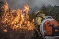 Focos de incêndio na área amazônica em 2024 superam os números do ano anterior